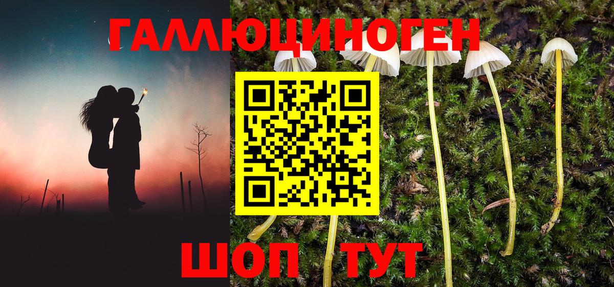 Псилоцибиновые грибы Magic Shrooms  Псилоцибиновые грибы MAGIC MUSHROOMS  Вход с VPN  Слободской 